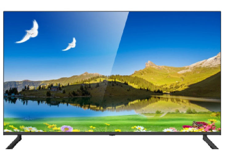 TV displaying a scenic landscape with mountains, lake, and birds.